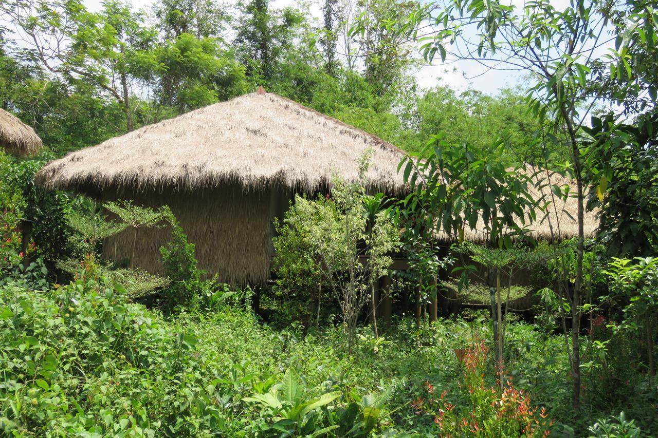 Rainbow Lodge Tatai Eksteriør billede