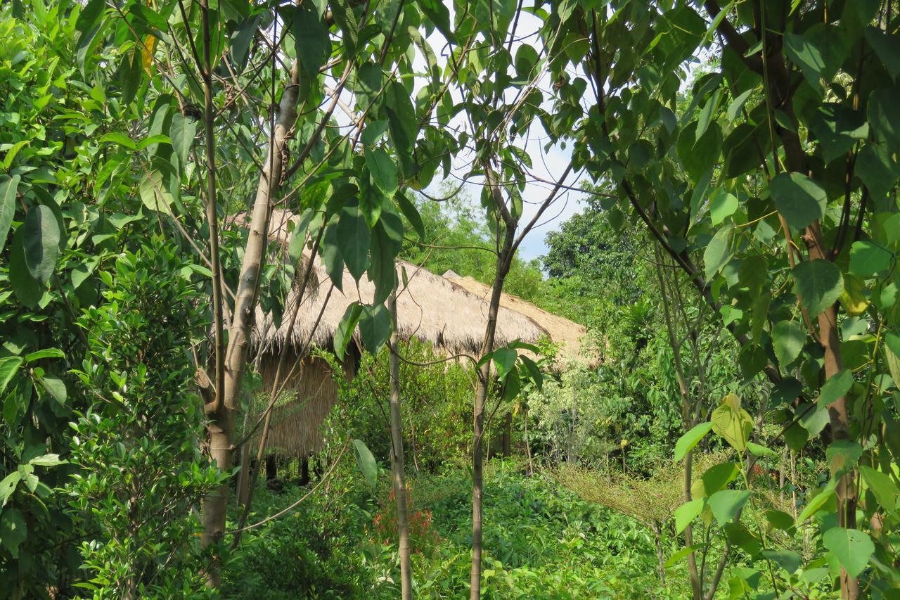 Rainbow Lodge Tatai Eksteriør billede